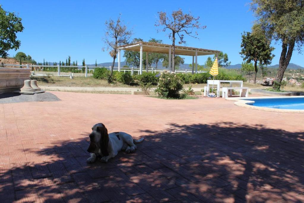 Rocaplana Club De Campo Hotel Vilarrodona Bagian luar foto